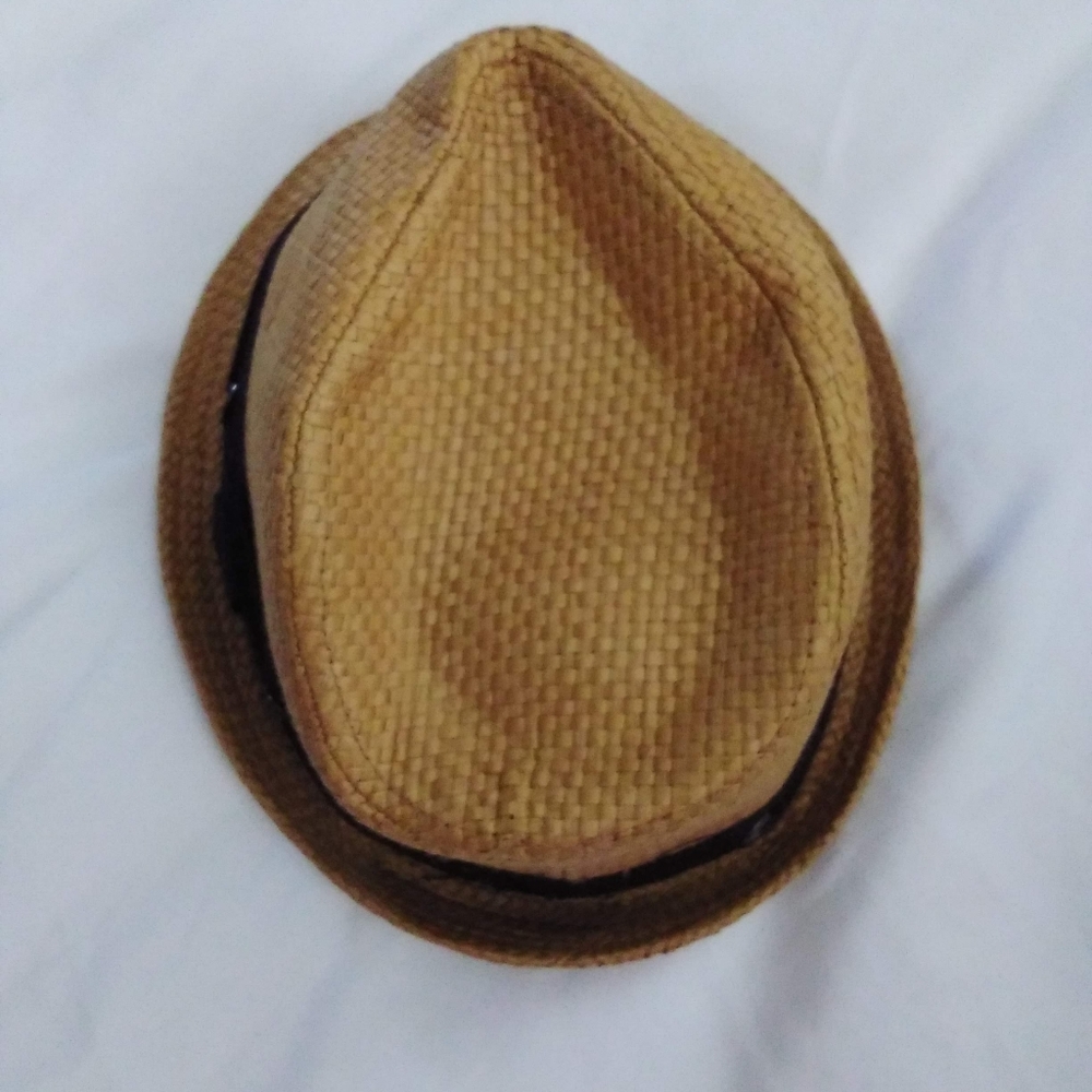 Place Fedora Hat - Picture 3 of 7